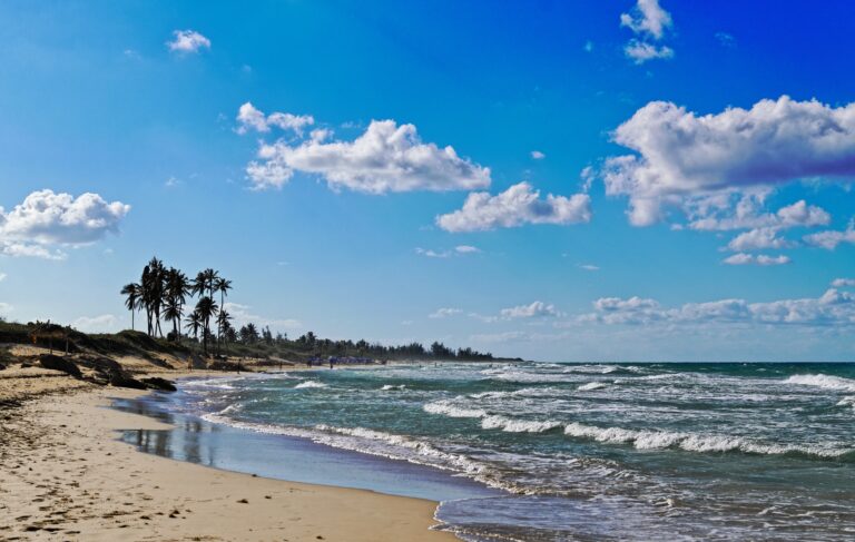 Tropical beach with palm trees and waves under a blue sky with fluffy clouds - things to do south texas