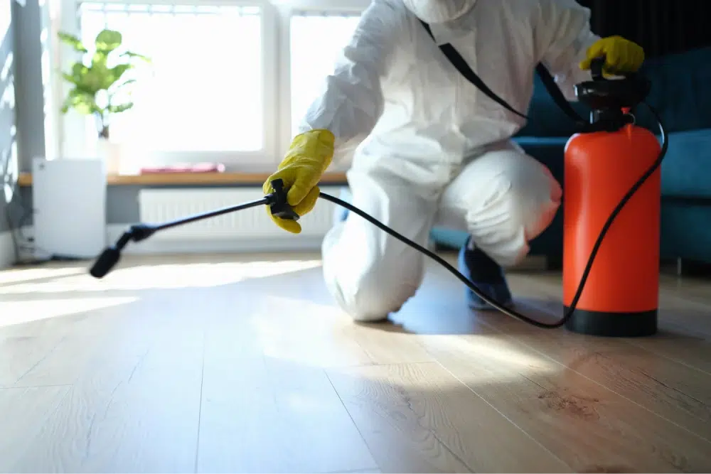 Person in protective gear spraying pesticide on a wooden floor in a home.